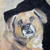 Dasty - Hundeportrait von Petra Rick 2008 - Pastell