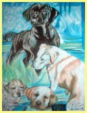 Portrait of animals (especially a portrait of a dog) in pastel