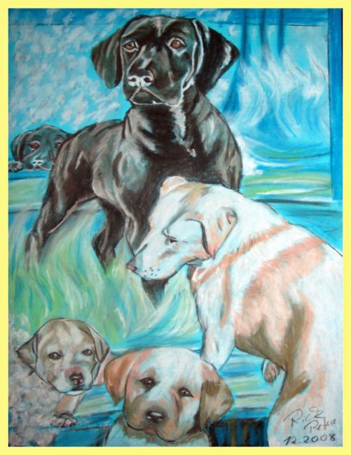 Tierportraits (insbesondere ein Hundeportrait) in Pastell - zum Schließen ins Bild klicken
