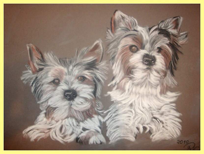 Tierportraits (insbesondere ein Hundeportrait) in Pastell - zum Schließen ins Bild klicken