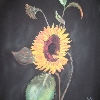 Sonnenblume - Stillleben von Petra Rick 2004 - Pastell