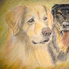 Zwei Freunde - Alcor und Cori - Hundeportrait von Petra Rick 2009 - Pastell