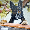 Rocky beschützt Warnitz - Hundeportrait von Petra Rick 2009 - Acryl